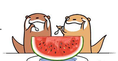 娱乐吃瓜号会不会侵权,如何规避侵权风险